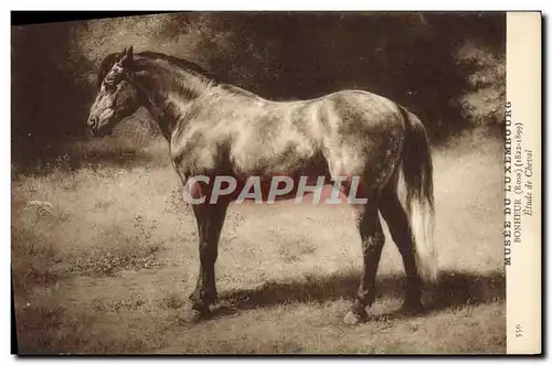 Ansichtskarte AK Paris Musee du Luxembourg Bonheur Etude de cheval