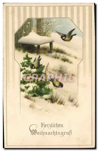 Cartes postales Fantaisie Oiseaux