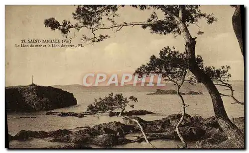 Cartes postales Saint Raphael Le lion de mer le lion de terre