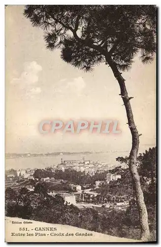 Cartes postales Cannes Entre Les Pins Croix Des Gardes