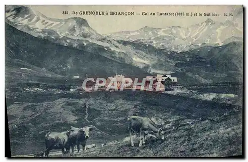 Cartes postales De Grenoble a Briancon Col du Lautaret et le Galibier Vaches