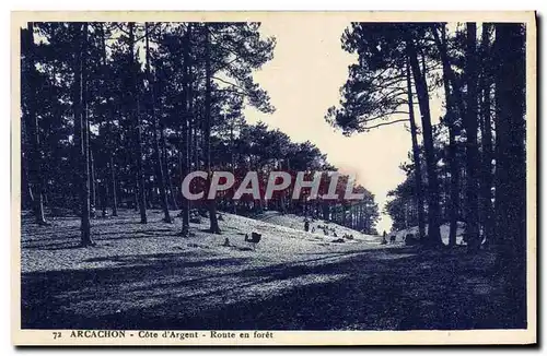 Cartes postales Arcachon Cote d'Argent Route en foret