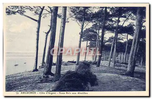 Cartes postales Arcachon Cote d'Argent Sous bois aux Abatilles