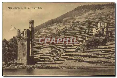 Cartes postales Mauseturm u Ruine Ehrenfels