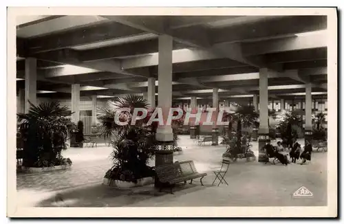 Cartes postales moderne Vittel Le palmarium Interieur