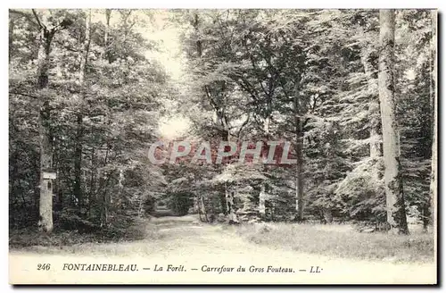 Cartes postales Fontainebleau La Foret Carrefour Du Gros Fouteau