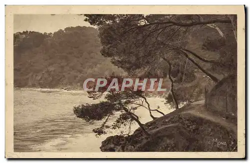 Ansichtskarte AK Toulon Sentier Du Mourillon Au Cap Brun