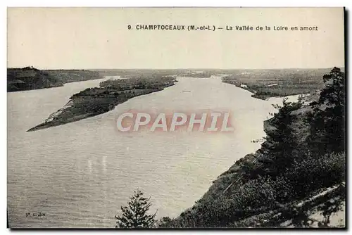 Ansichtskarte AK Champtoceaux La Vallee De La Loire En Amont