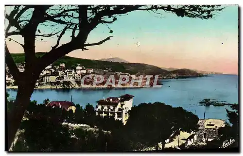 Cartes postales moderne Banyuls Sur Mer La Baie Au Fond Le Cap Bear