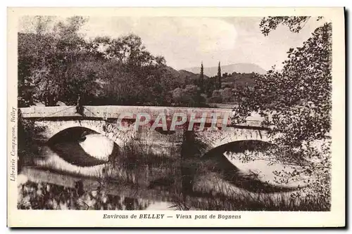 Ansichtskarte AK Environs De Belley Vieux Pont De Bognens