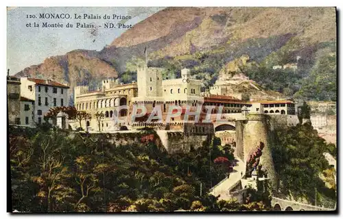 Cartes postales Monaco Le Palais Du Prince Et La Montee Du Palais