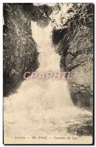 Ansichtskarte AK Correze Bort Cascade Du Lys