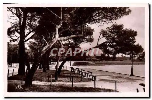 Cartes postales moderne La Rochelle La Plage A Travers Les Pins