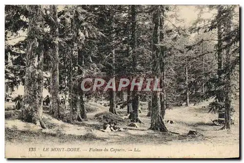 Cartes postales Le Mont Dore Plateau du Capucin