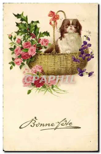 Cartes postales Fantaisie Chien