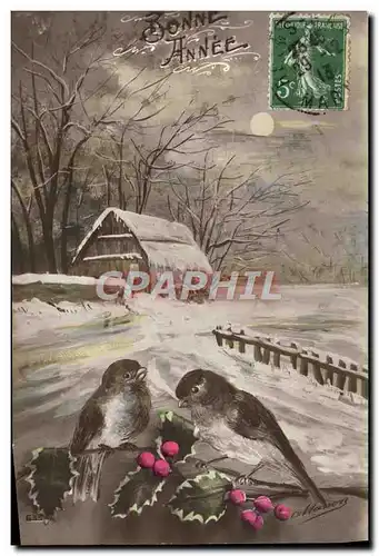 Cartes postales Fantaisie Bonne annee Oiseaux