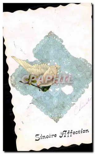 Cartes postales Fantaisie Brodee Colombe