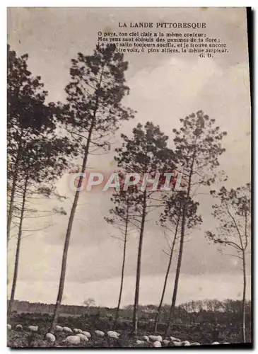 Cartes postales La Lande