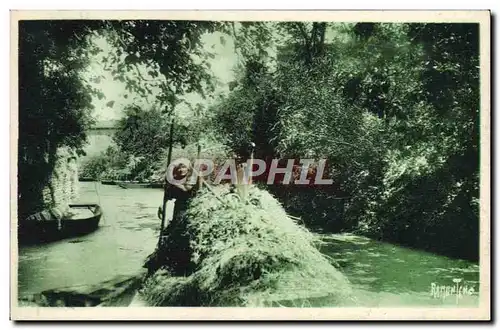 Cartes postales Marais poitevin La Venise verte