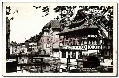 Cartes postales moderne Strasbourg Le bain aux plantes