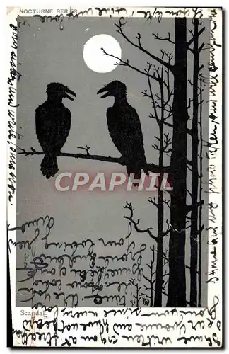 Cartes postales Fantaisie Oiseaux Vautours Rapace