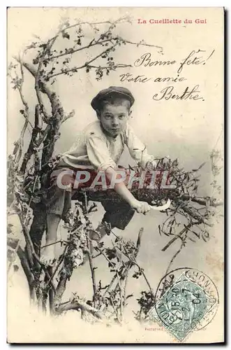 Cartes postales Fantaisie Enfant La cueillette du gui