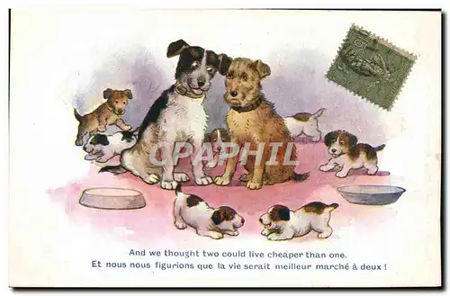 Cartes postales Fantaisie Chien Chiens