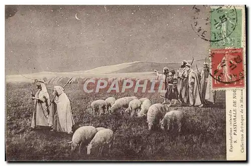 Cartes postales Pastorale Moutons