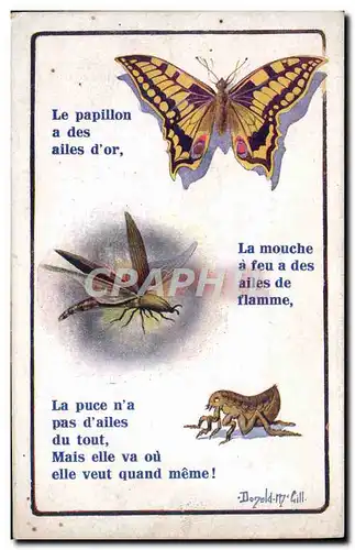 Ansichtskarte AK Insectes Papillon Mouche Puce Donald Mc Gill