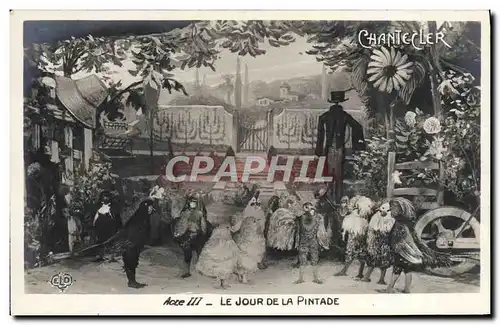 Cartes postales Fantaisie Chantecler Le jour de la pintade Coq Poules