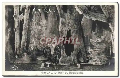 Cartes postales Fantaisie Chantecler la nuit du rossignol Coq Poules