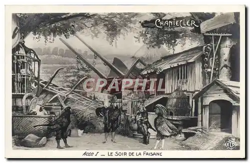 Cartes postales Fantaisie Chantecler Le soir de la faisaneCoq Poules