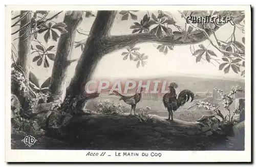 Cartes postales Fantaisie Chantecler Le matin du Coq Poules