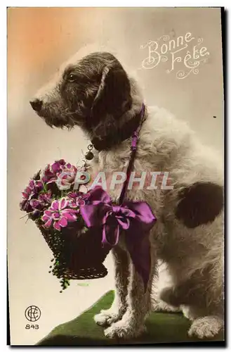 Cartes postales Fantaisie Chien