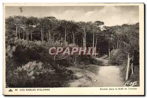 Cartes postales Les Sables D'Olonne Sentier dans la foret de Tanchet