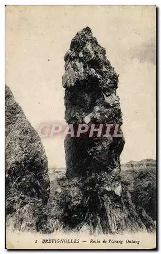 Cartes postales Bretignolles Roche De I'Orang Outang