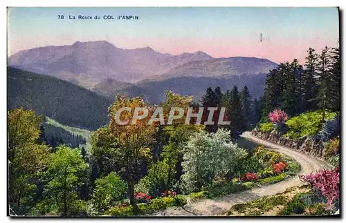 Cartes postales La Route du col d&#39Aspin