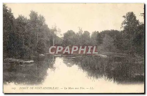 Ansichtskarte AK Foret de Fontainebleau La mare aux fees