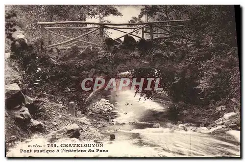 Cartes postales Chatelguyon Pont Rustique l&#39Interieur du Parc