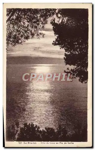 Cartes postales Le Pradet Effet de Lune au Pin de Galles