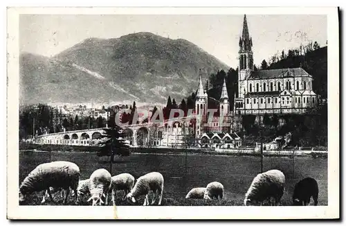 Cartes postales Lourdes La Basilique