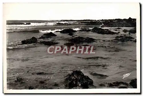 Cartes postales Les Sables d&#39Olonne La Cote Sauvage