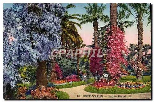 Cartes postales Cote D&#39Azur Jardin fleuri