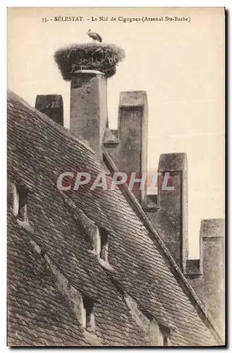 Cartes postales Selestat Le Nid de Cigognes Arsenal Ste Barbe