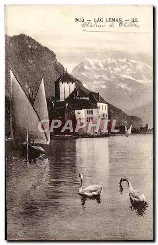 Ansichtskarte AK Lac Leman Bateau Cygnes