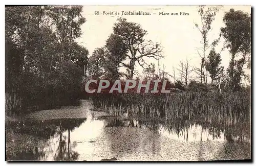 Ansichtskarte AK Foret De Fontainebleau Mare Aux Fees