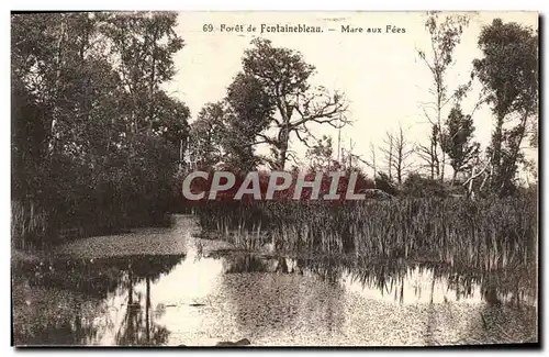 Cartes postales Foret De Fontainebleau Mare Aux Fees