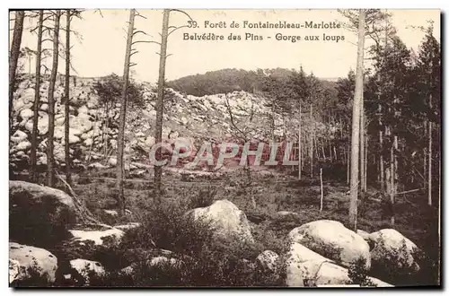 Cartes postales Foret De Fontainebleau Marlotte Belvedere des Pins Gorge aux loups