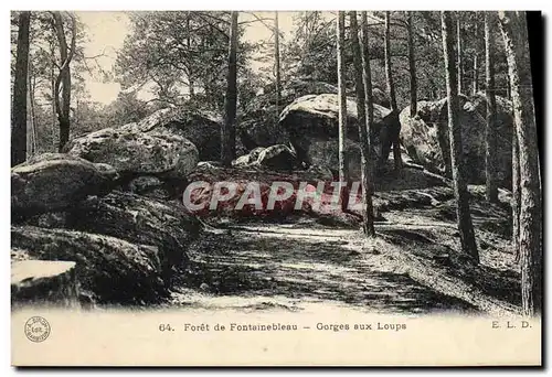 Cartes postales Foret De Fontainebleau Gorges Aux Loups