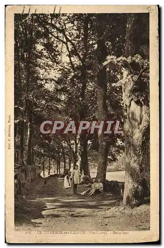 Cartes postales Le Chambon sur Lignon Sous Bois